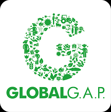 GLOBAL G.A.P standard (for production processes of agricultural products, incl. aquaculture) - GLOBAL G.A.P standard (for production processes of agricultural products, incl. aquaculture)